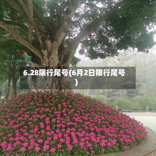 6.28限行尾号(6月2日限行尾号)-第3张图片