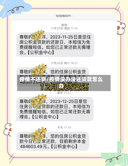 疫情不还贷/疫情没办法还贷款怎么办