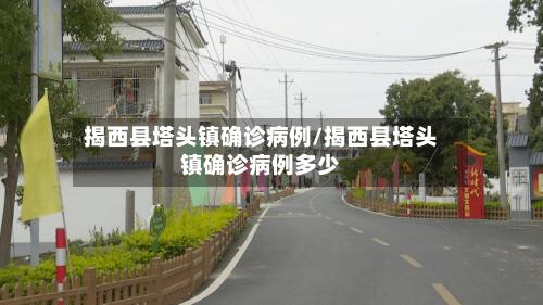 揭西县塔头镇确诊病例/揭西县塔头镇确诊病例多少