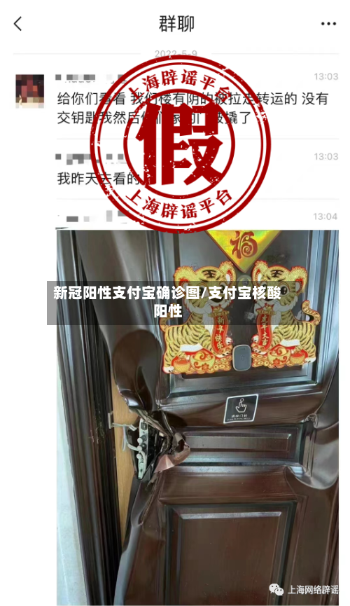 新冠阳性支付宝确诊图/支付宝核酸阳性