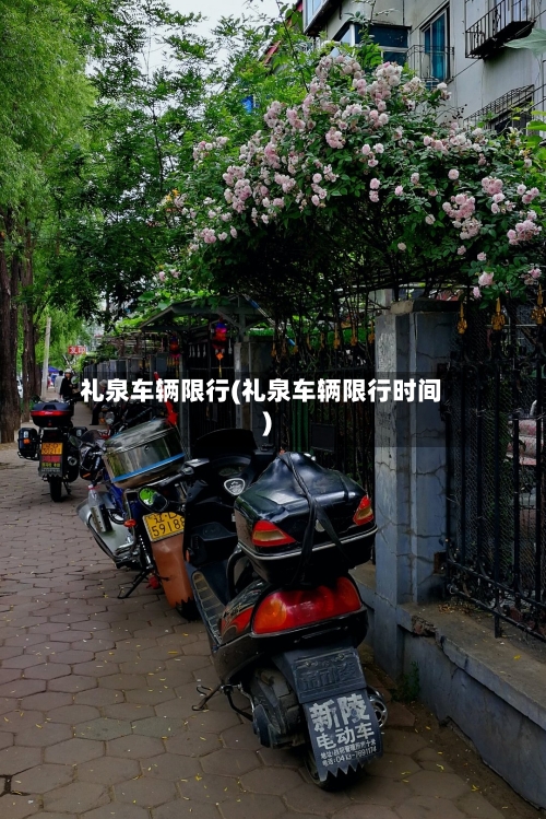 礼泉车辆限行(礼泉车辆限行时间)