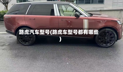 路虎汽车型号(路虎车型号都有哪些)-第3张图片