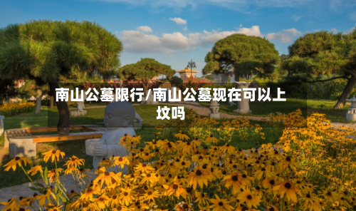 南山公墓限行/南山公墓现在可以上坟吗