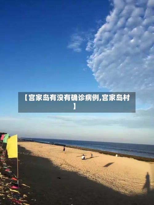 【宫家岛有没有确诊病例,宫家岛村】