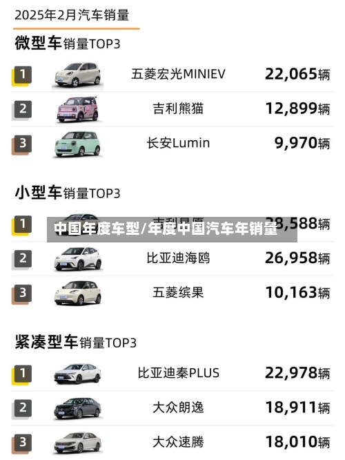 中国年度车型/年度中国汽车年销量