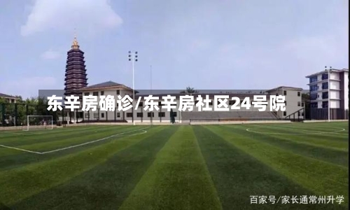 东辛房确诊/东辛房社区24号院-第3张图片