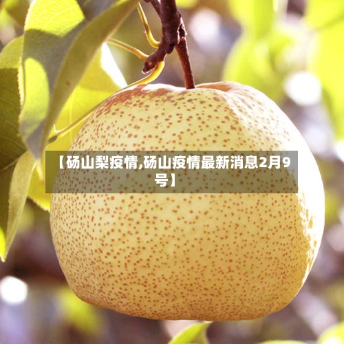 【砀山梨疫情,砀山疫情最新消息2月9号】