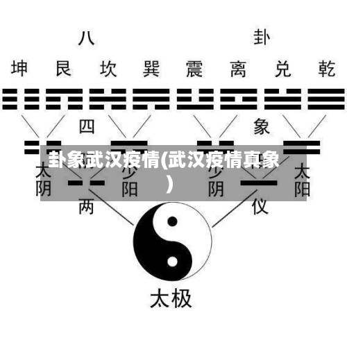 卦象武汉疫情(武汉疫情真象)