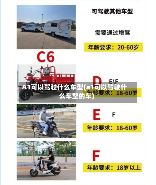 A1可以驾驶什么车型(a1可以驾驶什么车型的车)-第2张图片