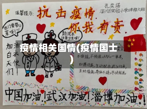 疫情相关国情(疫情国士)-第2张图片