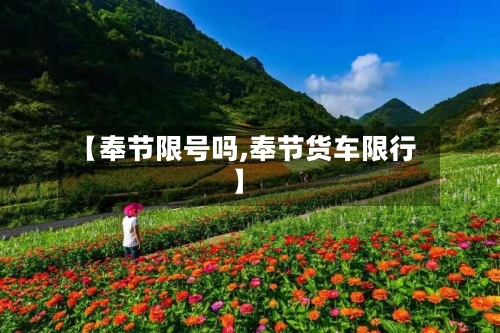 【奉节限号吗,奉节货车限行】-第2张图片