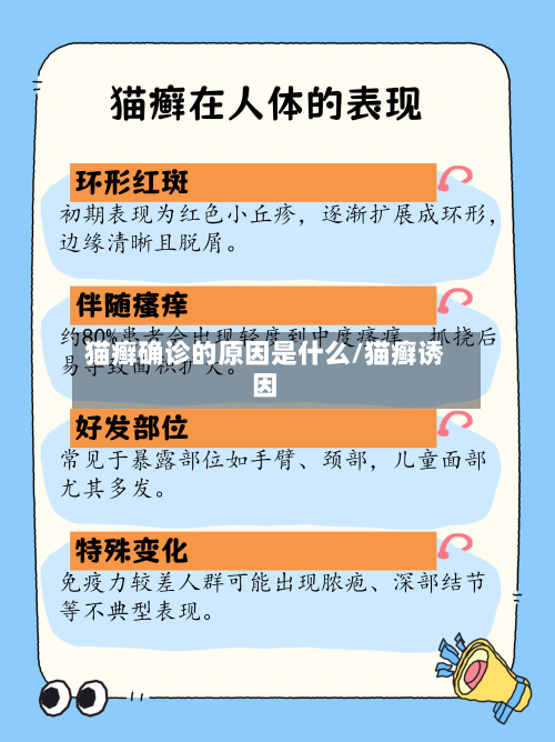 猫癣确诊的原因是什么/猫癣诱因-第2张图片
