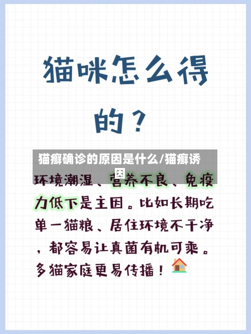 猫癣确诊的原因是什么/猫癣诱因