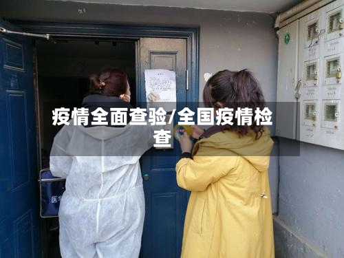 疫情全面查验/全国疫情检查-第2张图片