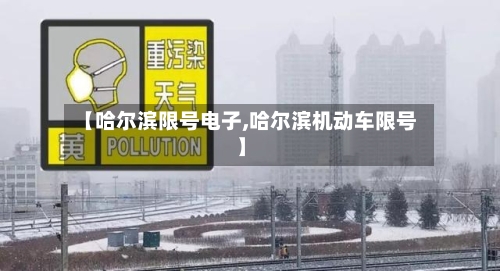 【哈尔滨限号电子,哈尔滨机动车限号】-第3张图片