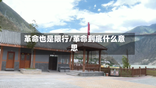 革命也是限行/革命到底什么意思