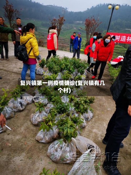 复兴镇第一例疫情确诊(复兴镇有几个村)