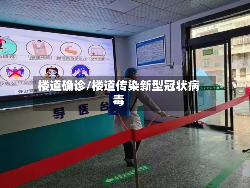 楼道确诊/楼道传染新型冠状病毒