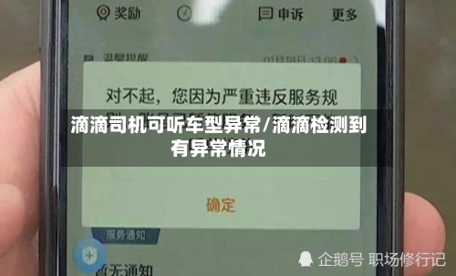 滴滴司机可听车型异常/滴滴检测到有异常情况