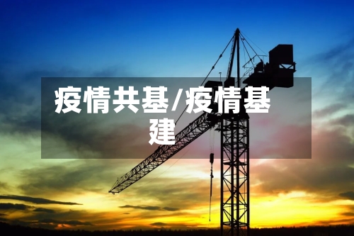 疫情共基/疫情基建-第2张图片