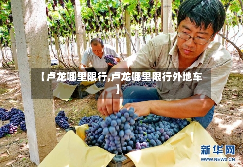 【卢龙哪里限行,卢龙哪里限行外地车】