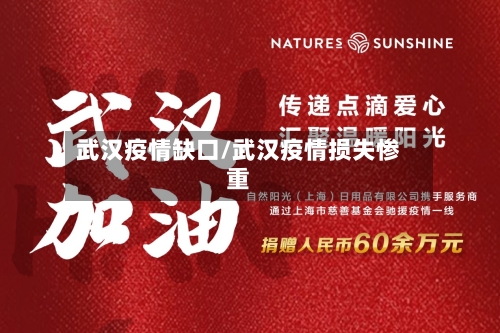武汉疫情缺口/武汉疫情损失惨重