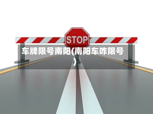 车牌限号南阳(南阳车咋限号)-第3张图片