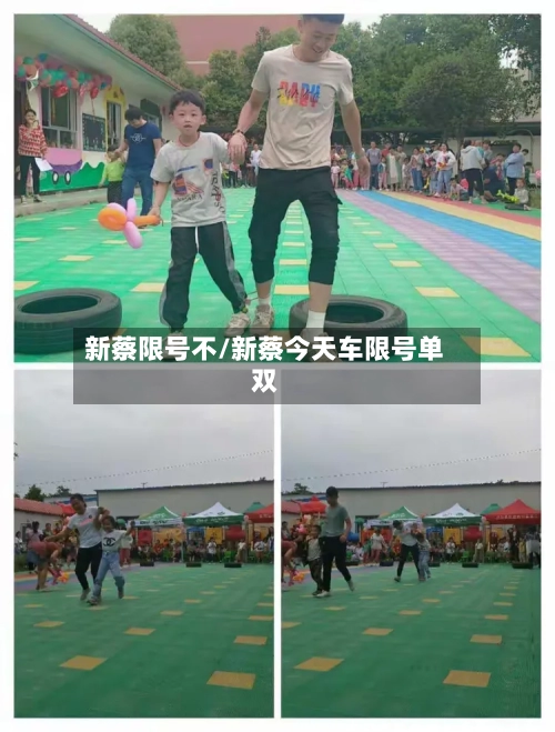 新蔡限号不/新蔡今天车限号单双-第3张图片