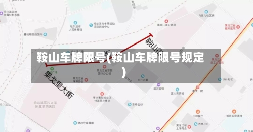 鞍山车牌限号(鞍山车牌限号规定)-第3张图片