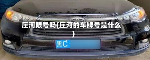 庄河限号吗(庄河的车牌号是什么)-第3张图片