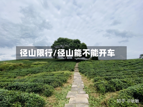 径山限行/径山能不能开车-第2张图片