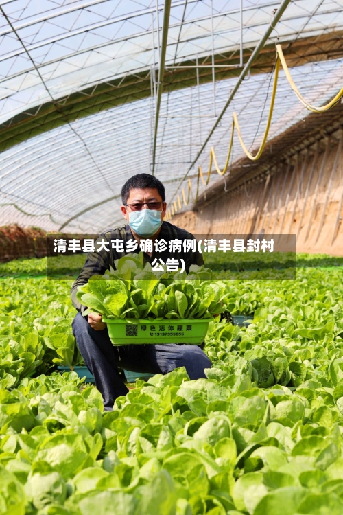 清丰县大屯乡确诊病例(清丰县封村公告)-第2张图片