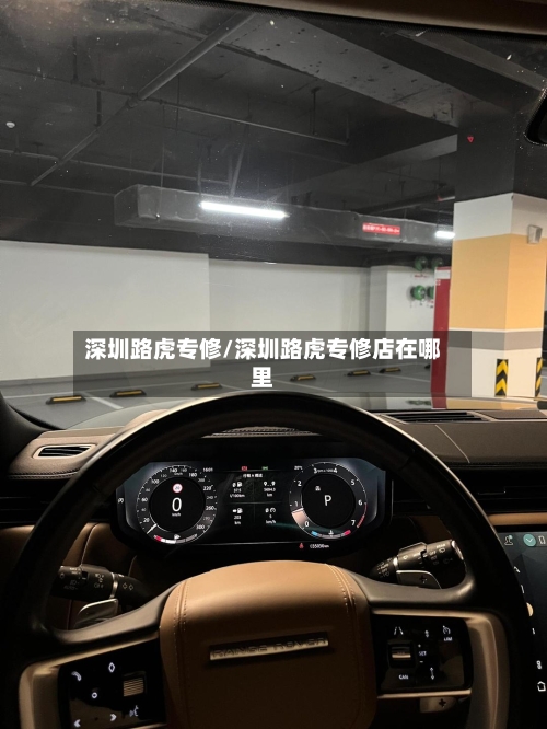 深圳路虎专修/深圳路虎专修店在哪里-第3张图片