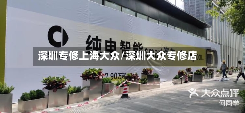 深圳专修上海大众/深圳大众专修店-第2张图片