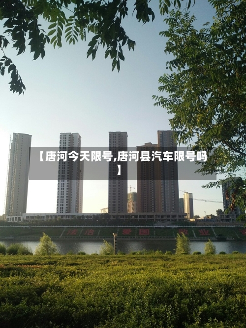 【唐河今天限号,唐河县汽车限号吗】-第2张图片