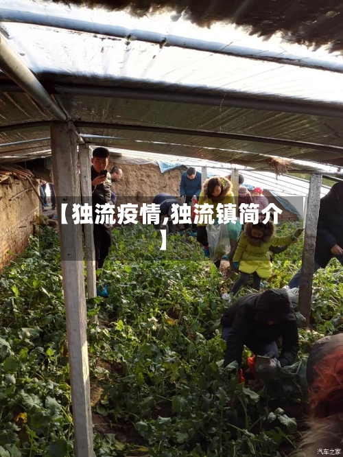 【独流疫情,独流镇简介】-第2张图片