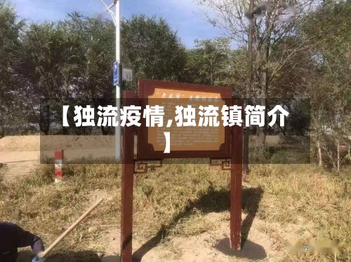 【独流疫情,独流镇简介】