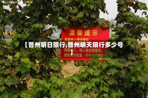 【晋州明日限行,晋州明天限行多少号】