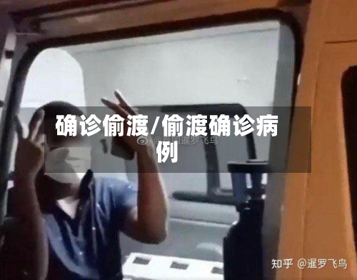 确诊偷渡/偷渡确诊病例